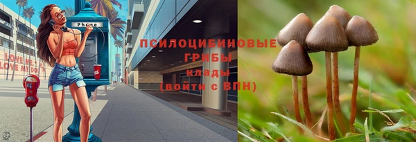 индика Навашино