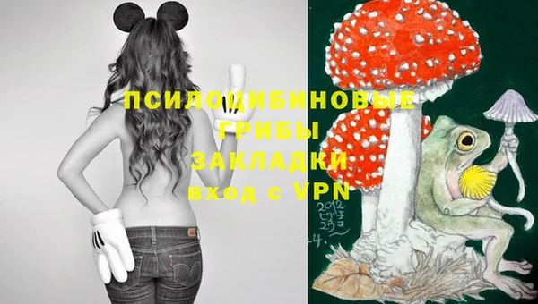 шишки Михайлов