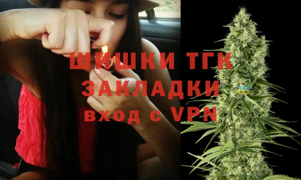 индика Навашино