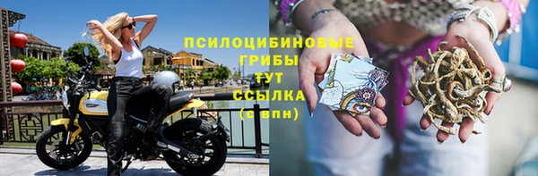 индика Навашино
