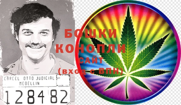 индика Навашино