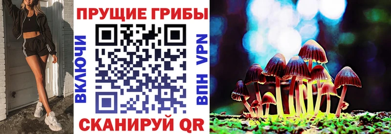 Псилоцибиновые грибы MAGIC MUSHROOMS  площадка телеграм  Железногорск 