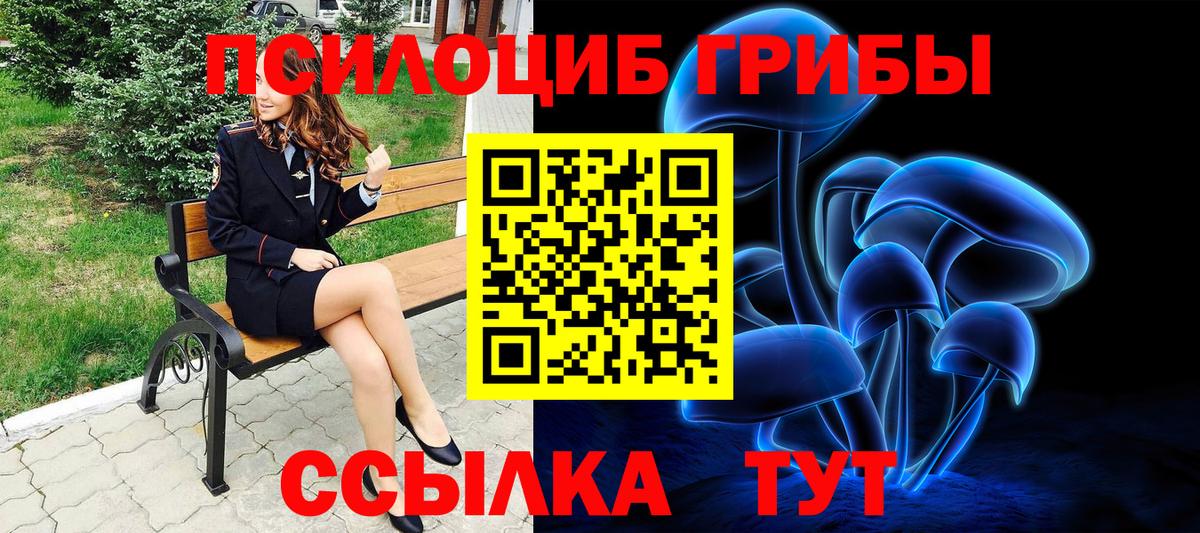 Галлюциногенные грибы прущие грибы  Псилоцибиновые грибы мицелий  Железногорск 