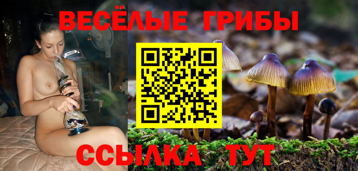 Псилоцибиновые грибы Psilocybe  Вход с VPN  что такое   Железногорск 